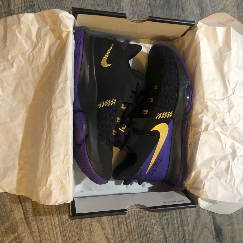 LEBRON WITNESS V mens nike basketball shoes